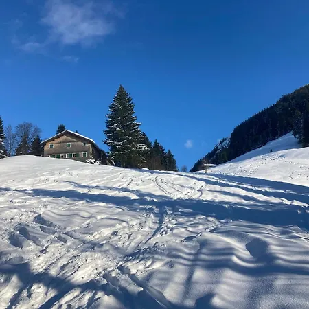 Www Ferienhuette-gschwend At Bizau